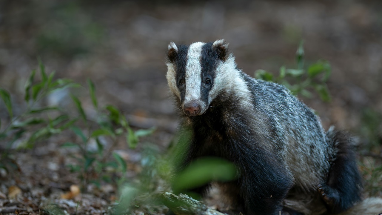 vincentvanzalinge/Unsplash