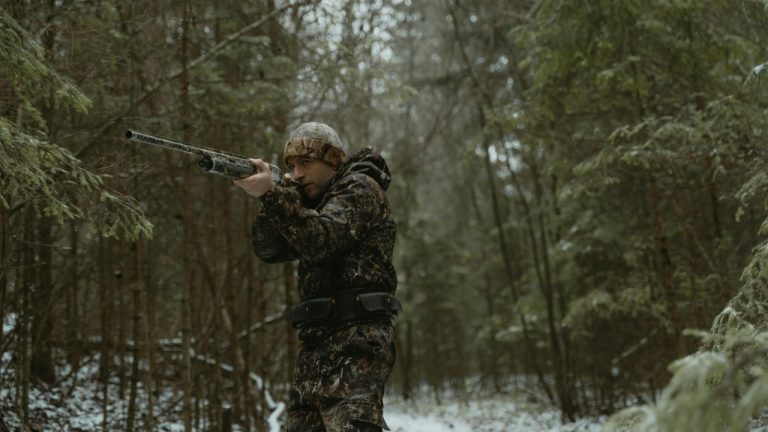 Tima Miroshnichenko/Pexels