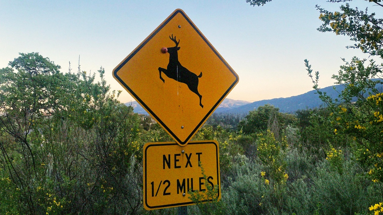 Tatiana Kathie/Pexels