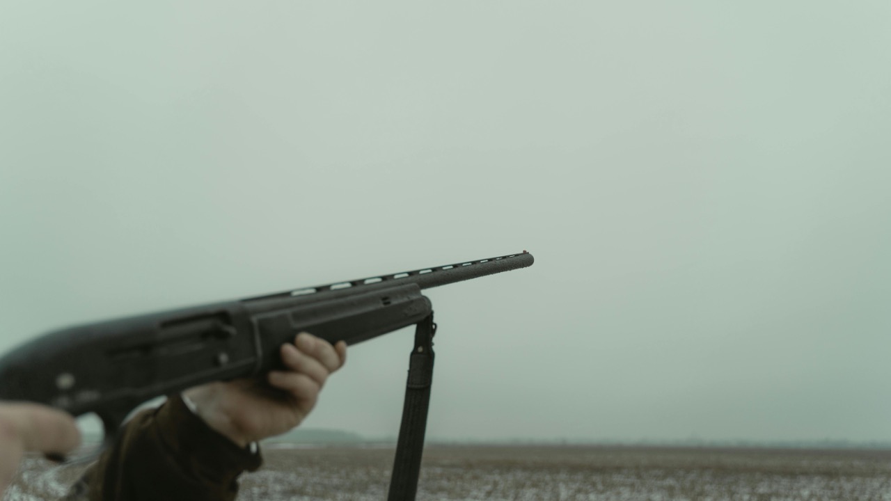 Tima Miroshnichenko/Pexels