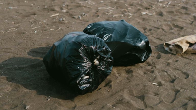 Dexter Fernandes/Pexels