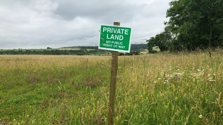 designfactory/Unsplash