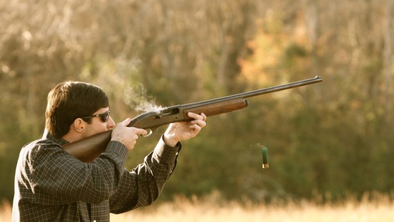 Image Credit: Torrey Wiley - CC BY 2.0/Wiki Commons