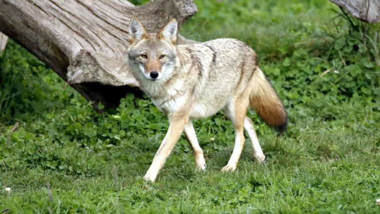 patrice schoefolt/Pexels