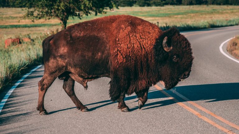 Brian Hackworth/Pexels