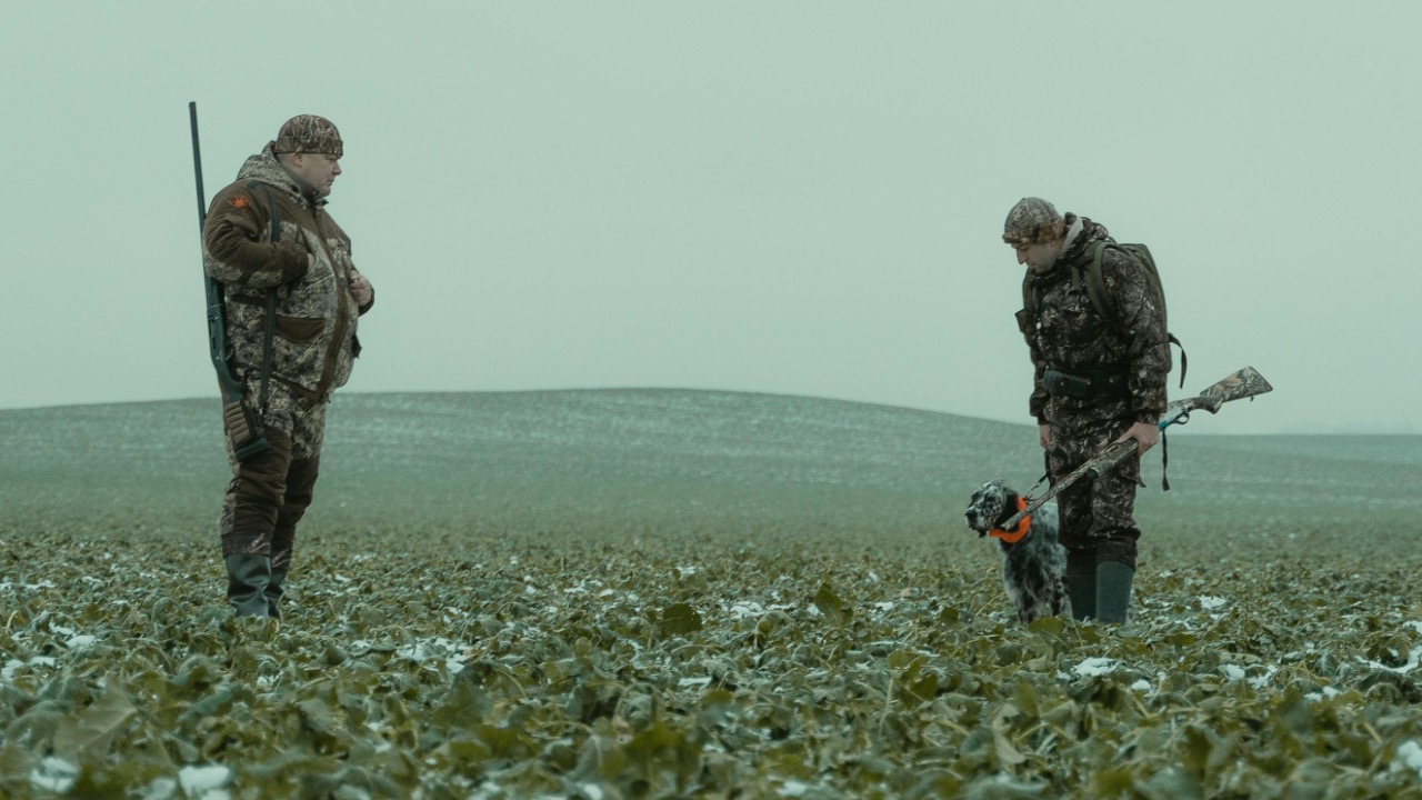 Tima Miroshnichenko/Pexels