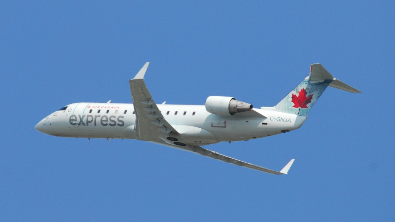 Image Credit: Lord of the Wings© from Toronto, Canada - CC BY-SA 2.0/Wiki Commons