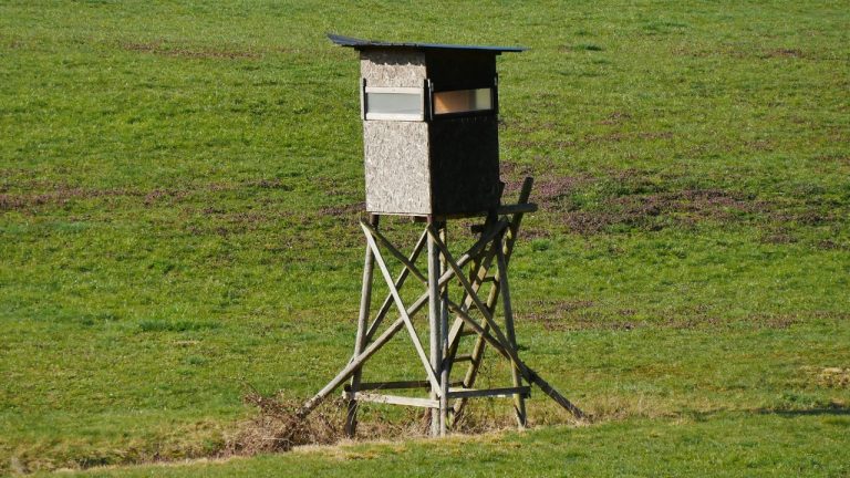 Natur & Urban/Pexels