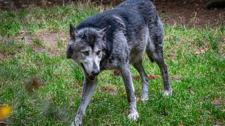 justmejuliee/Unsplash