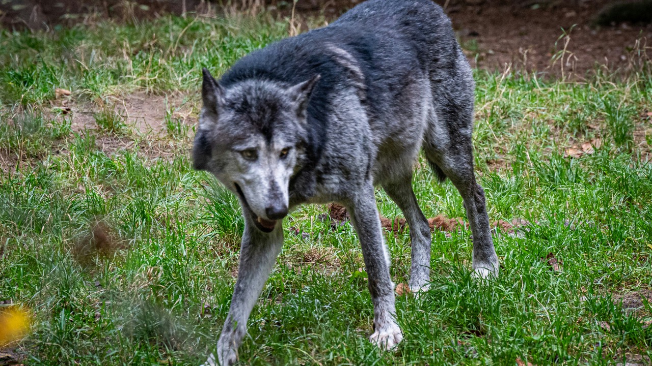 justmejuliee/Unsplash