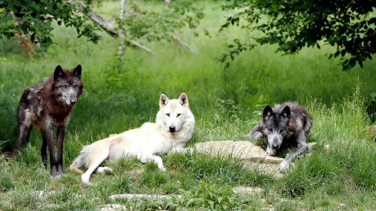 patrice schoefolt/Pexels