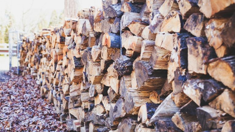 Michael Morse/Pexels