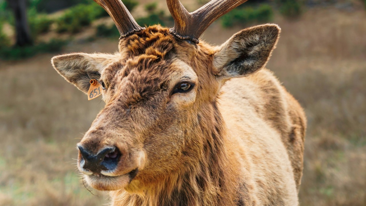 andreasdress/Unsplash