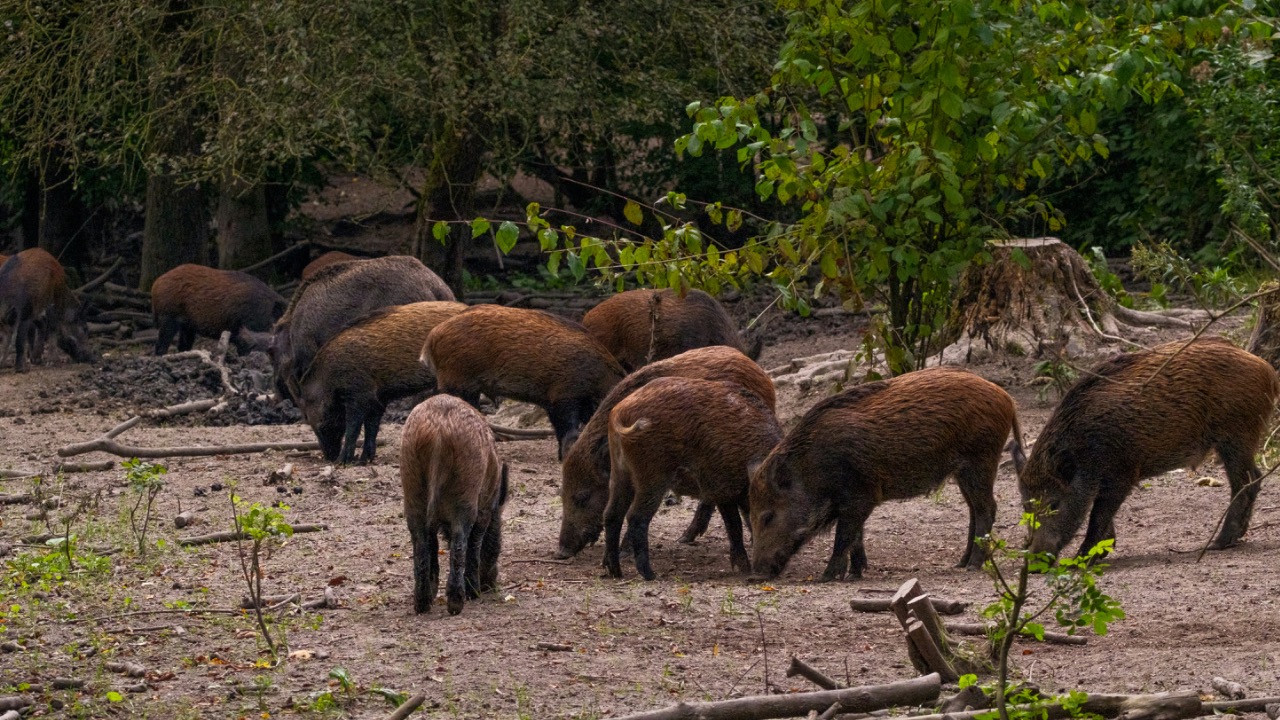 haberdoedas/Unsplash