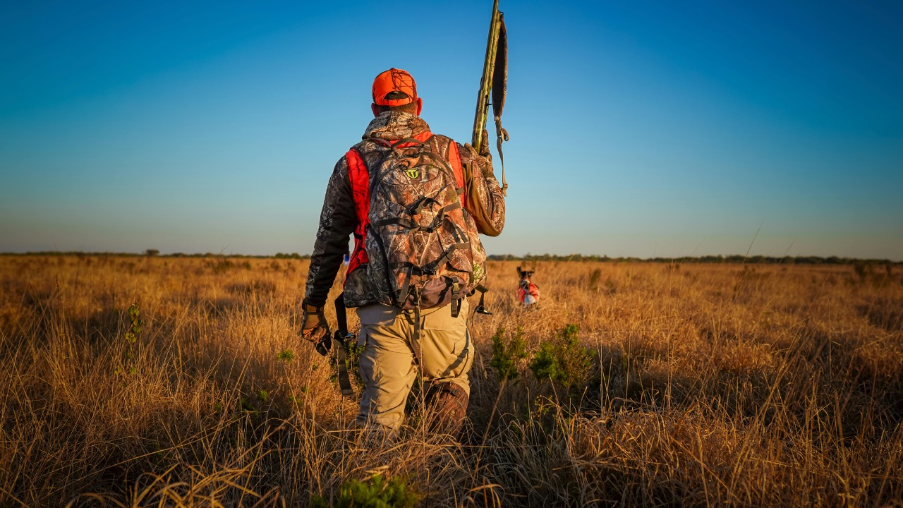 Arian Fernandez/Pexels