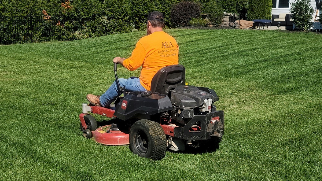 cutabovelandscapingnc/Unsplash