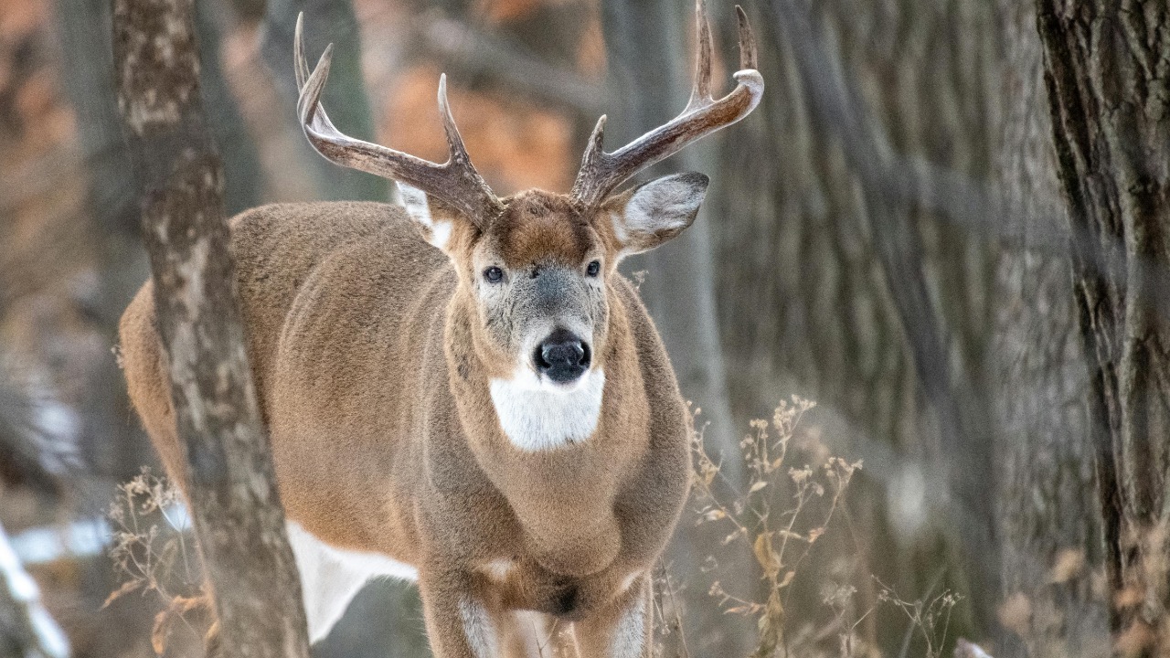 Andrew Patrick Photo/Pexels