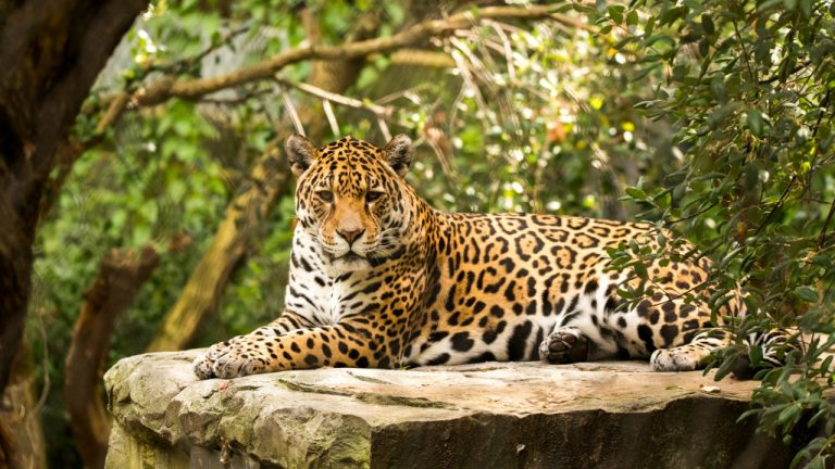 ramon_vloon/Unsplash