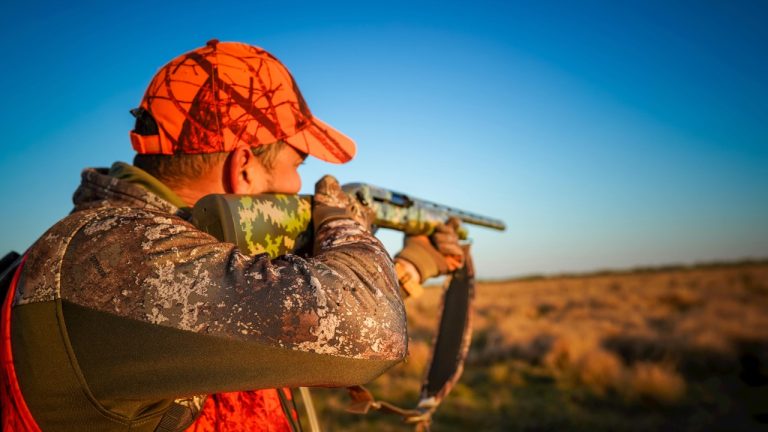 Arian Fernandez/Pexels