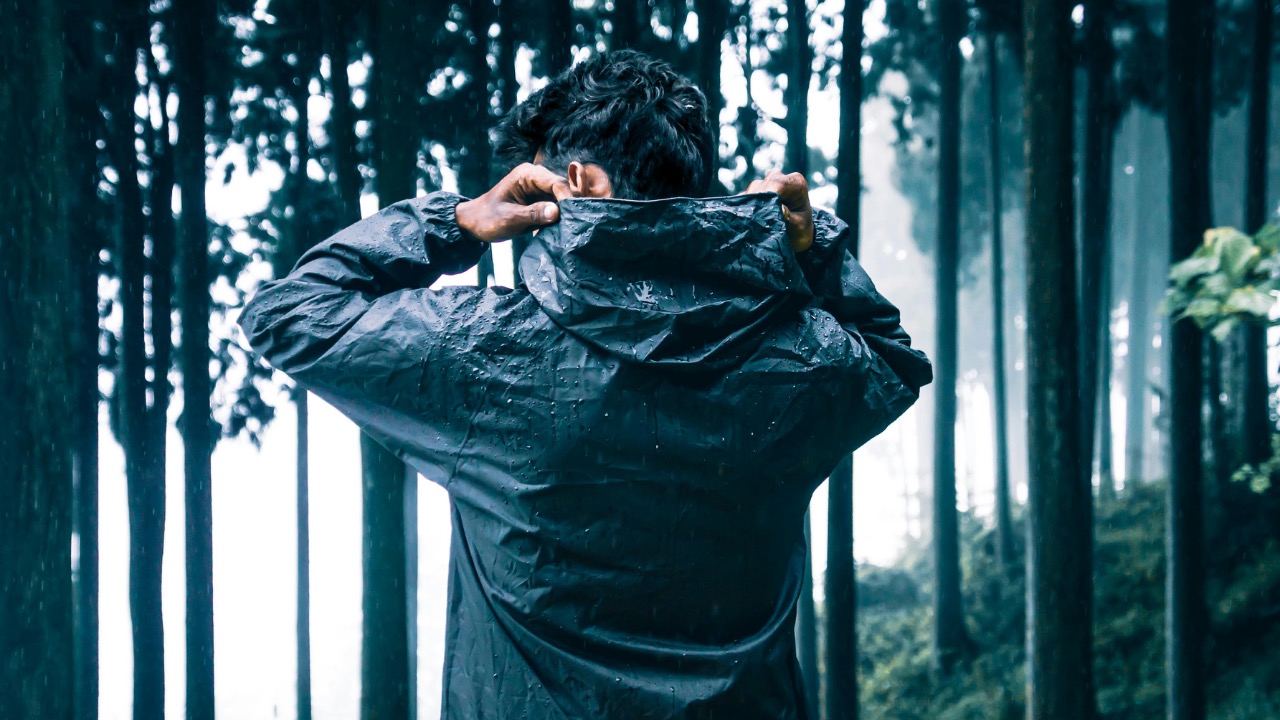 Rahul Pandit/Pexels