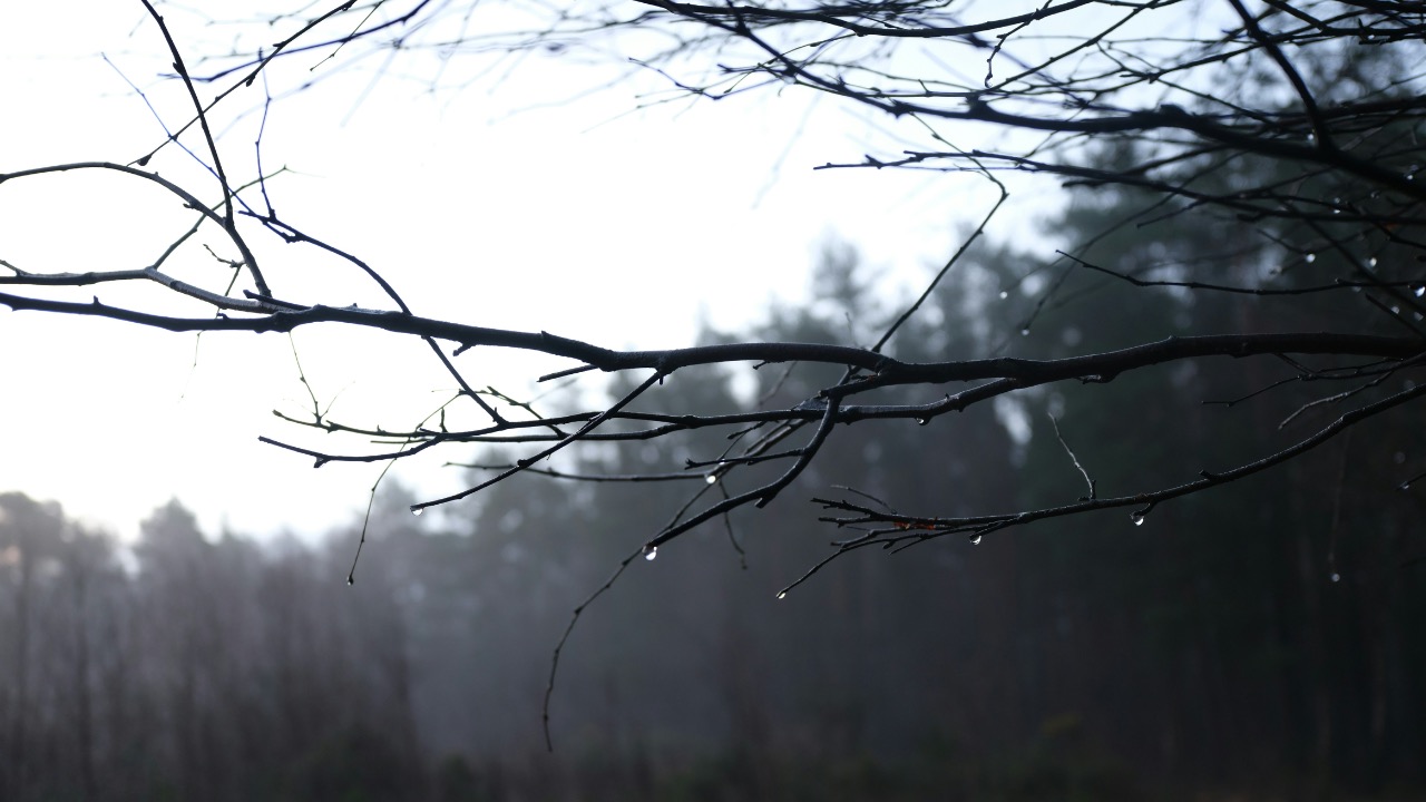 tanyabarrow/Unsplash
