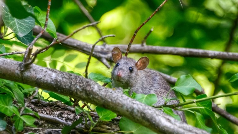 xander_crawley/Unsplash