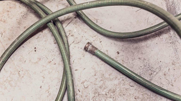 Gratisography/Pexels