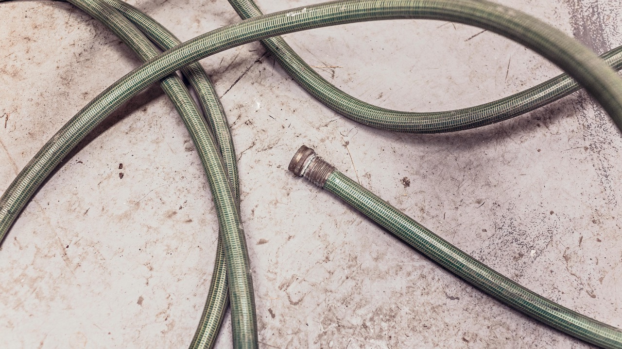 Gratisography/Pexels