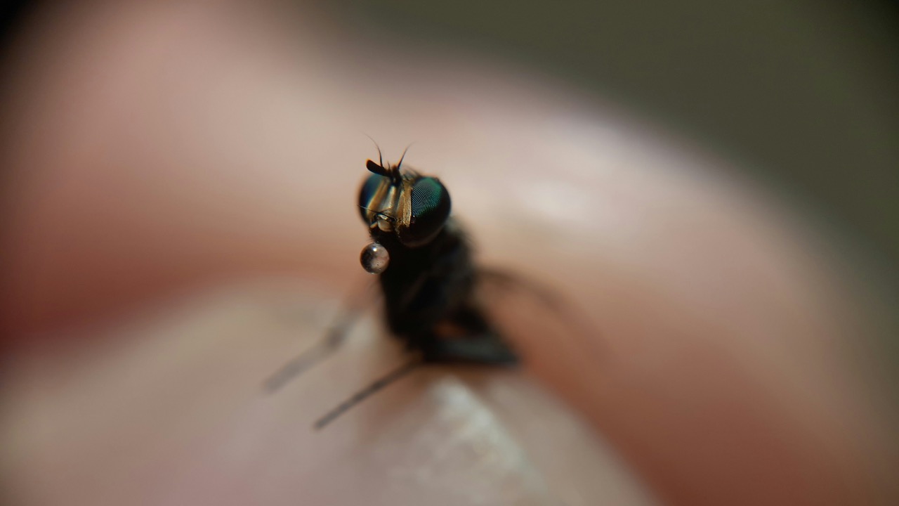 bhrugu007/Unsplash