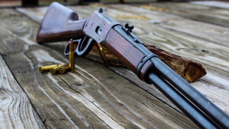 Logan Boone waters/Shutterstock.com