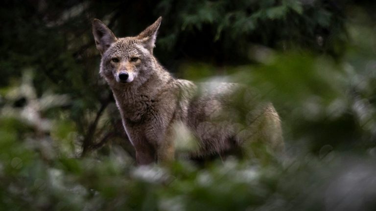 Stephen Leonardi/Pexels