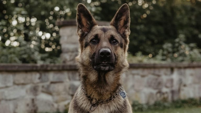 Nadin Romanova/Pexels