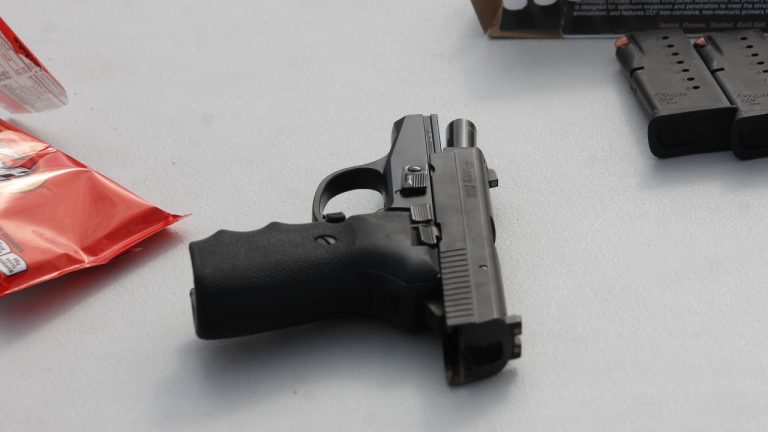 Image Credit: Noah Wulf – CC BY-SA 4.0/Wiki Commons