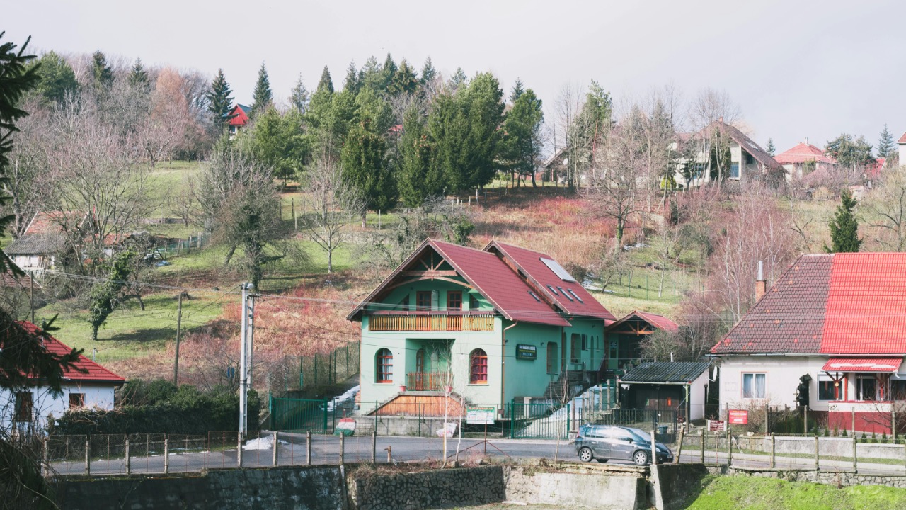 Márton Novák/Pexels