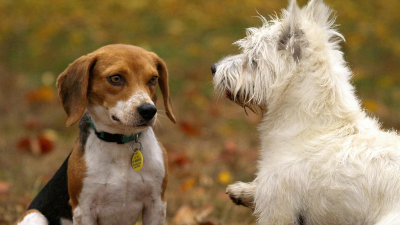 Hilary Halliwell/Pexels