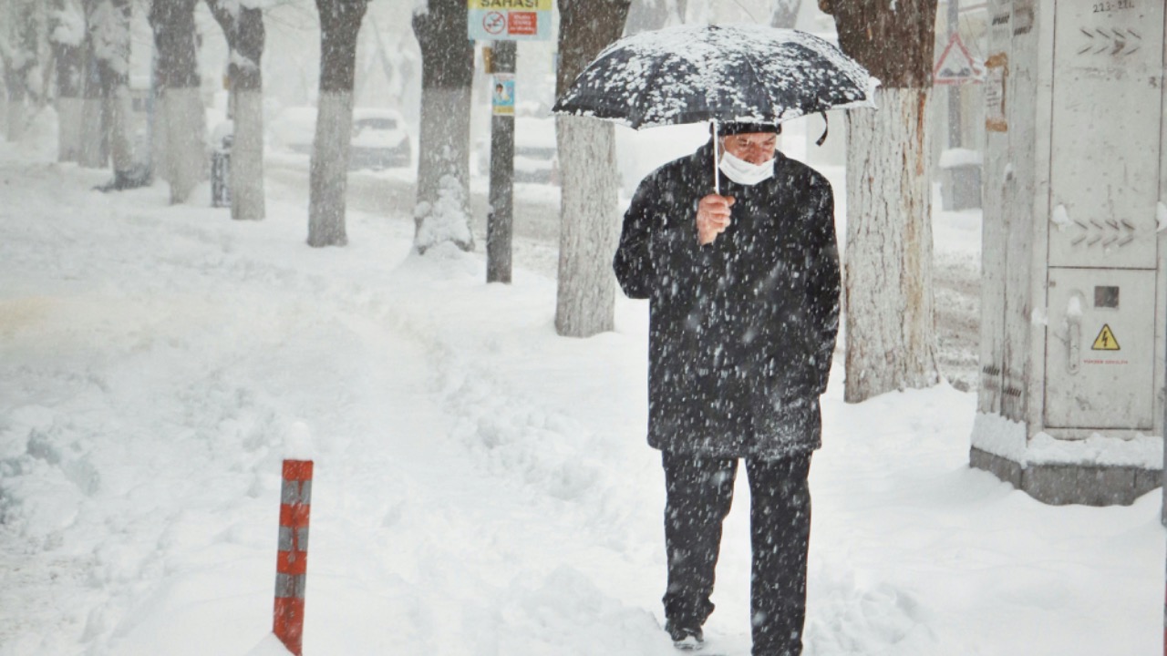 Serkan  Gönültaş/Pexels
