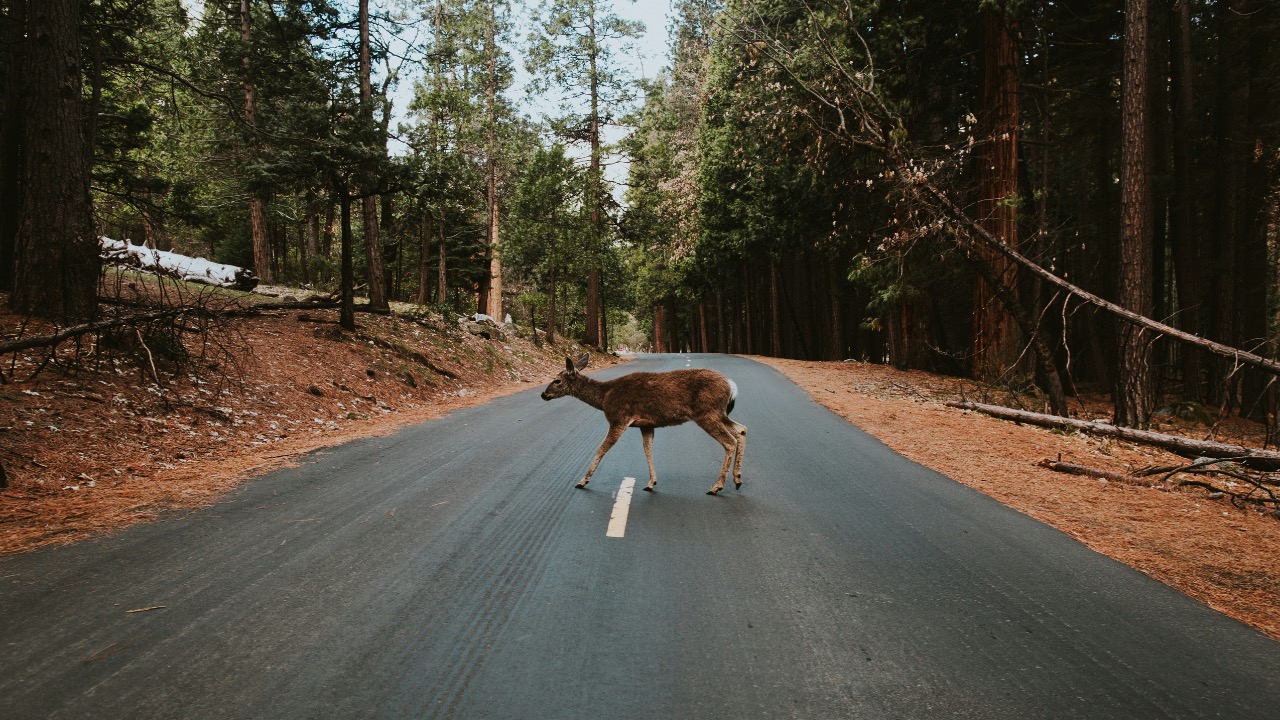 von_co/Unsplash