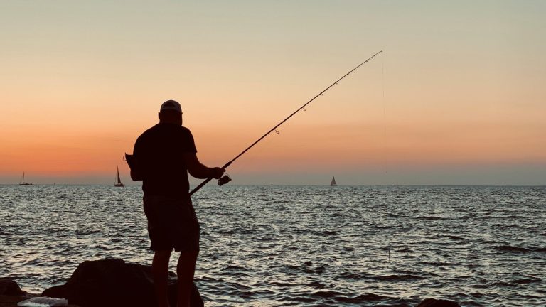 Zaryab Waraich/Pexels