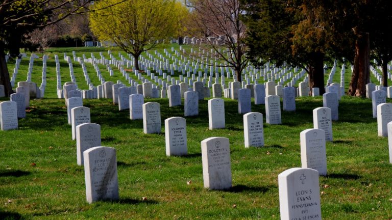 some_random_guy/Unsplash