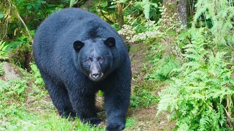 Jennifer Kardiak/Pexels