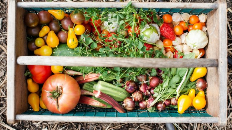 farmsteadphoto/Unsplash