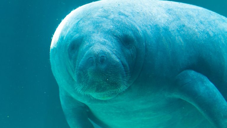 probablyrobin/Unsplash