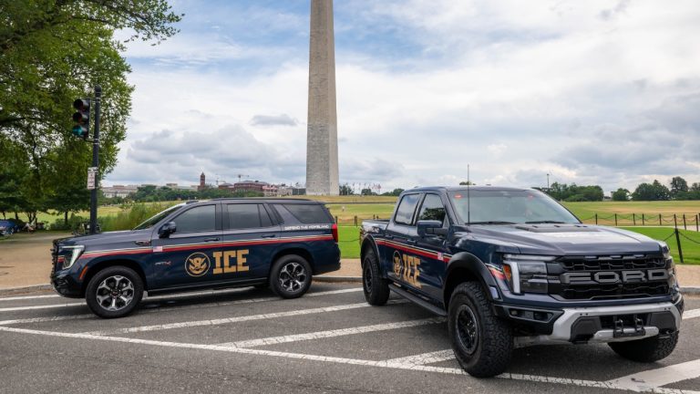 Image Credit: usicegov - Public domain/Wiki Commons