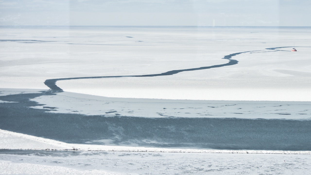 Image Credit: Erik Drost - CC BY 2.0/Wiki Commons