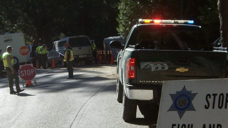 Image Credit: CDFW Warden Lt. Tony Spada - CC BY 2.0/Wiki Commons