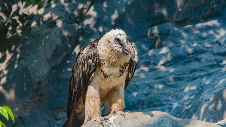 Daciana Cristina Visan/Pexels