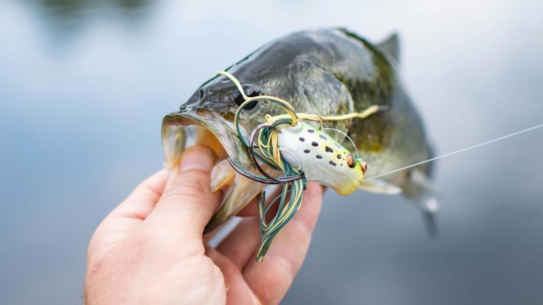 Michal Dziekonski/Pexels