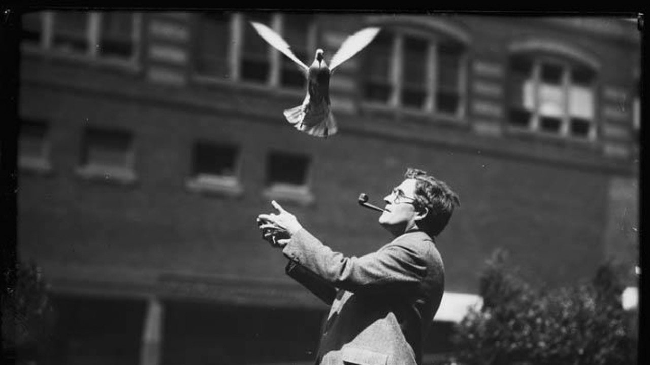 Image Credit: Webster & Stevens - Public domain/Wiki Commons