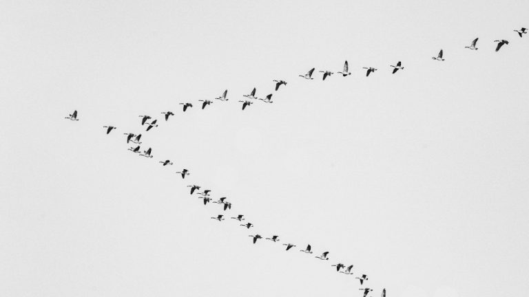 Marvin Filmaker/Pexels