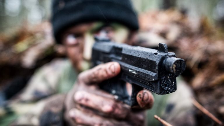 Image Credit: Jérôme BARDENET/French Army - Licence Ouverte/Wiki Commons